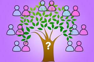 The VERY Complicated Chinese Family Tree