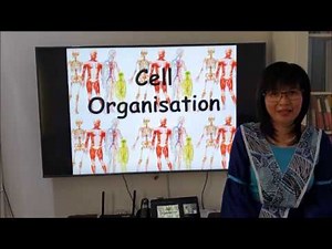 Form 1 Science 2.4 Cell Organisation