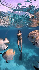 Freedive with our resident golden batfishes and celebrate summer in the clear water of Amanpulo Sea you Mar 23-Apr 21 #AzulFreediving #freediving #freedive #freediver #Philippines #Aman #Amanpulo #Palawan #luxuryhotel #tatlerasia | Azul Freediving