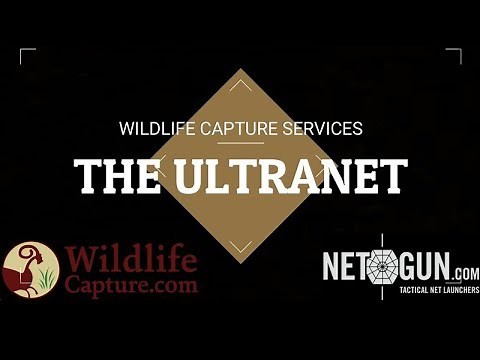 UltraNet [Netgun] - Instructional