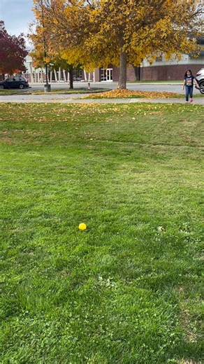 Roger Singer on Reels