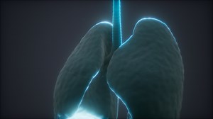 3d animation of human lungs