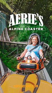 Aerie's Alpine Coaster: Where Summer Fun Takes Flight! Craving a heart-pounding adventure this summer? Look no further than the Aerie's Alpine Coaster! This exhilarating ride is your ticket to unforgettable thrills, breathtaking scenery, and pure, adrenaline-fueled fun! Don't miss out! Book your trip to Aerie's Resort and get ready to discover a world of **thrills, smiles, and unforgettable adventures** on the Aerie's Alpine Coaster! #aeriesresort #graftonillinois #alpinecoaster #summerfun #Thri