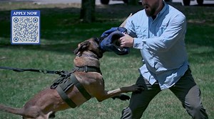 Police recruits now starting at $65,208 annually. Details available at JoinJSO.com | Jacksonville Sheriff's Office