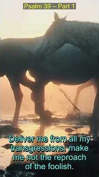 Psalm 39 Part 1 Explained: Embracing Humility, Wisdom & Faith | Book of Psalms Study