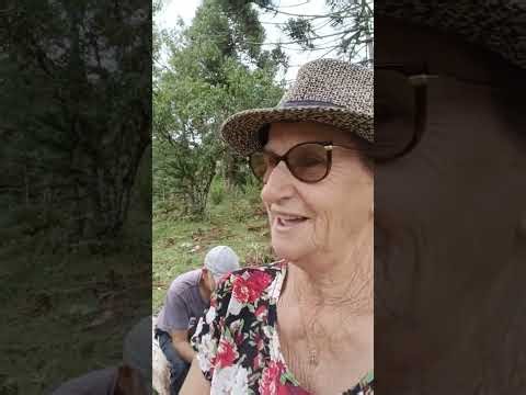 A Day in the Countryside 🌿 | Gardening & Simple Rural Life Vlog