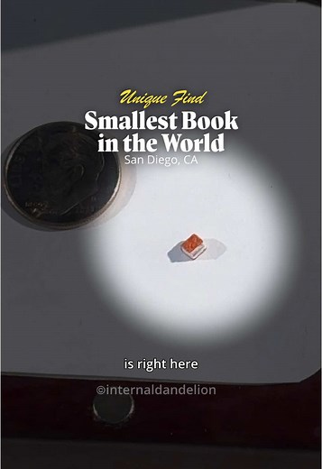 Discover the World's Smallest Book in San Diego