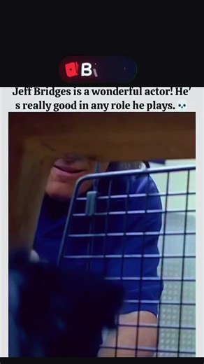 Movievibbes | A dog Year 📸🎥📷📹 A Dog Year” follows Jim, a struggling writer whose life feels stuck. On a whim, he adopts a lively and mischievous... | Instagram