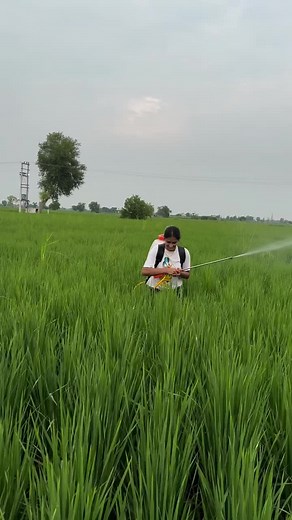 #modernagriculturetech #creatorsearchinsights #modernfarmingtechnology #agricultureinnepal #Beautiful_nature_❤️🥀