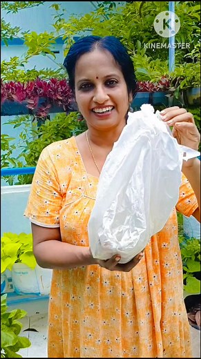 😃❤️How to grow shallots in containers and their green offshoots are tasty when cooked.😃❤️ #cooking #agriculture #farm #vegetablegarden #shallots #farming #terracegardening #terracegarden | Roopa Jos