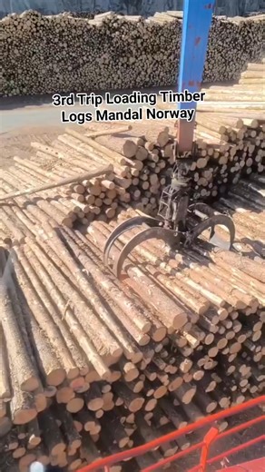 26K views · 270 reactions | 3rd Trip Loading Timber Self Loading Cargo Timber Mandal Norway Del 1 | Wilfred Bellano Vlog | Facebook