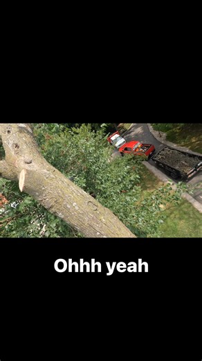 From limb to ground, clean rig and clean cut. Stay safe, stay sharp. 🌳⚖️ #TreeRigging #Woodworking #ProfessionalTreeCare #rigging #husqvarna #gypsy #bigballs #skills #tradework | Thomas Lay