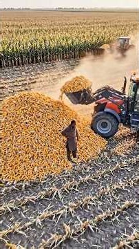🌽 Corn Cobs to Activated Carbon & Biochar: Inside a Mega Recycling Factory #Recycling