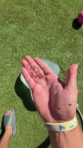 Pokémon Floods My Garden: Wild Swarm