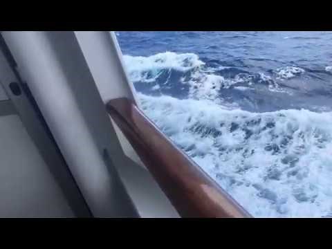 Carnival Breeze Cove Balcony 2301 Review