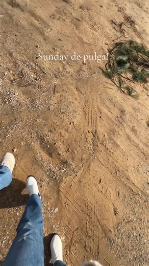 Exploring the Local Flea Market on a Sunday