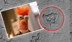 'Alien skull' discovered in Mars rover footage