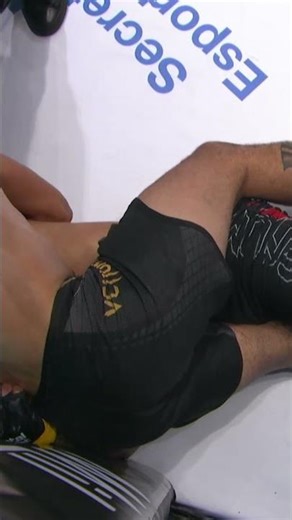 JIU JÍTSU AFIADO DE CACHORRO LOKO