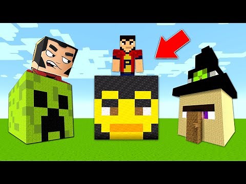 CE GASIM in CAPETELE din MINECRAFT ?