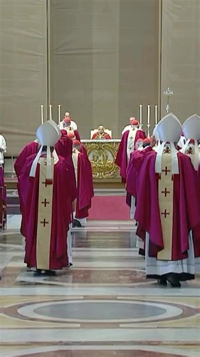 278K views · 14K reactions | Pope Francis celebrated Mass on Monday...