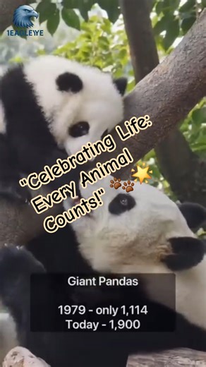 "🐾🌟Celebrating Life: Every Animal Counts! #shorts #viral #neture #wildlife #gemini #animals #birds