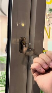 Commercial Property Lock Installation in Kensington London | Secure Business Premises #doorsecurity