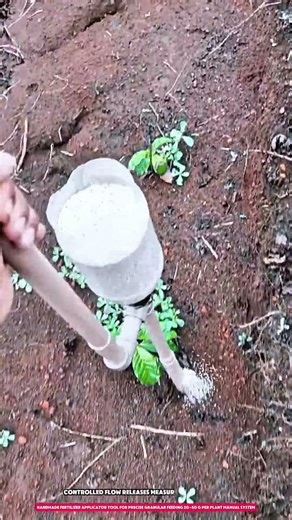 Handmade Fertilizer Applicator Tool for Precise Granular Feeding 20–50 g per Plant Manual System