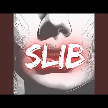 Slib