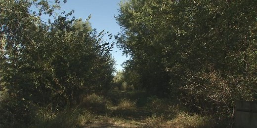 Tips for staying safe while hunting