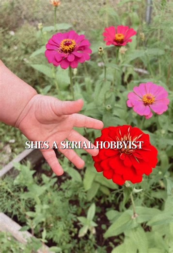 Creating the Perfect She Shed for Your Hobbies