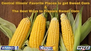 Central Illinois’ favorite places to get sweet corn and ways to prepare it