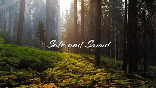 欧美经典民谣safe and sound【泰勒·斯威夫特】【Taylor Swift】