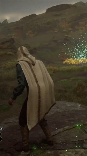 Merlin Trials in Hogwarts Legacy pt. 2