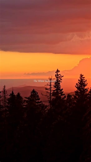 72 reactions | Of ARIZONA  #visitpinetoplakeside #visitarizona #welcometoarizona #whitemountainsaz #arizonasunset #arizonacollective #fox10phoenix #beon12 #wildjoy #arizonahighways | Visit Pinetop-Lakeside, AZ | Facebook