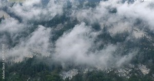 Time lapse of low altitude clouds against rock walls and green trees in Austrian Alps Alpbach region, resembling smoke coming out of a mountain. Stratus fractus silvagenitus (St fra sigen).