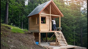 Built a house in the middle of the forest from scratch