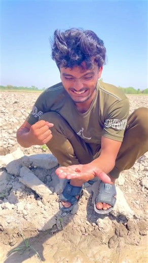 Tiny Life Saved 🥚❤️ | Red-tailed Wheatear Baby Finally Hatched 🐦 #shorts