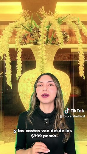 Hoteles recomendados para visitar en Toluca