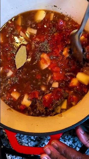 The Ultimate Hamburger Soup (EASY RECIPE)