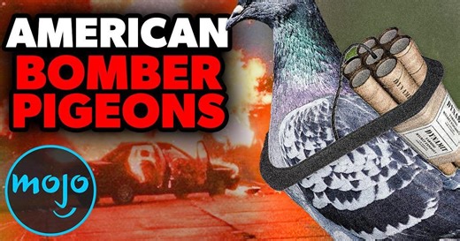 Top 10 Secret Government Programs You Won't Believe Existed | Articles on WatchMojo.com