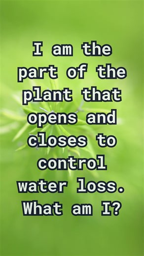 Think You Know Plants? Try This Botany Riddle!