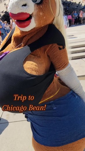 Went to the Bean this past weekend and had a ton of fun! #fionamaray #furry #fursuit #fursuiter #chicagobean #chicago
