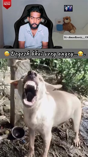 Aman Sarwani ~ AR__73✨ on Instagram: "Wait for 3 seconds ..🤣🤣 Share ur friends🍿✅ . . . . . Keywords 🔐 ——————— (how to viral reels, how to increase followers, how to viral reels on instagram, how to viral instagram reels, how to increase followers on instagram, instagram account settings, instagram growth). . . . . Hashtags📊 ——————— #amanreacts__73 #viral #trendingreels #funny comedy"