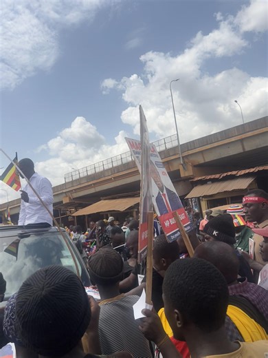 Parrot TV (@mr.parrot96)’s videos with original sound - Parrot TV