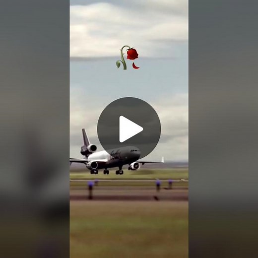 FedEx Flight 80 McDonnell Douglas MD-11F Plane Crash