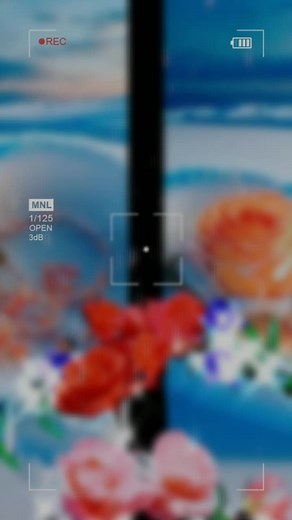 Md Shohag على TikTok