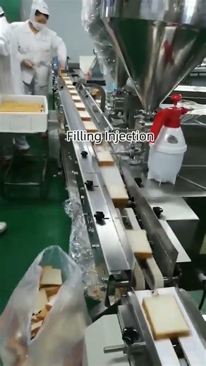 Automatic Production Lines: Sandwich Filling and Forming Machine