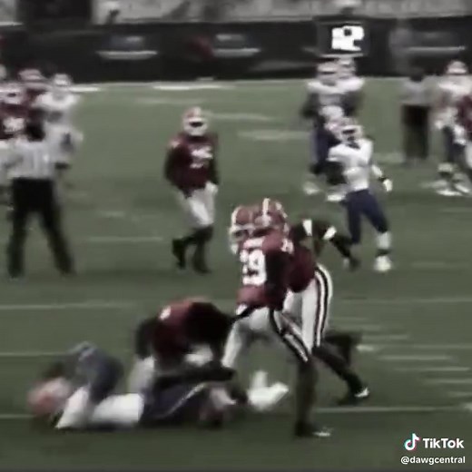 Georgia Bulldogs College Football Highlights