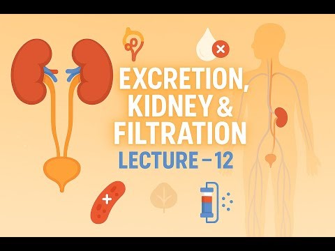 EXCRETION, Kidney & Filtration || Lecture - 12|| Life Process|| BIOLOGY|| Chapter - 5|| Class - 10th