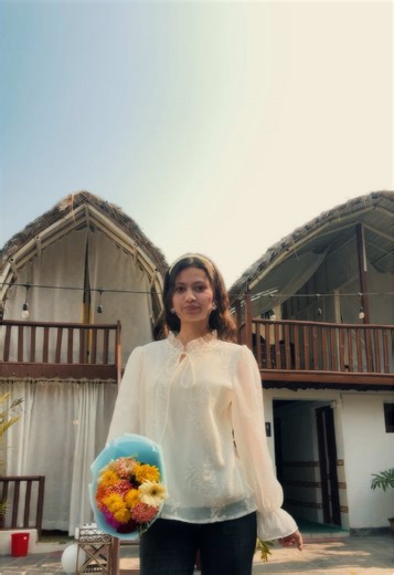 Captivating Colorful Flowers in Video